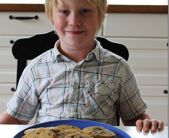 Chocolate chip fudge cookies