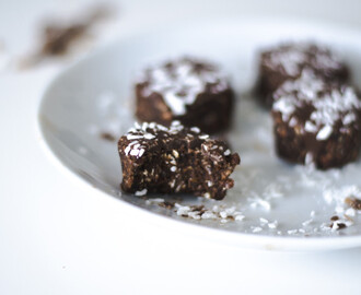 HAVRE- & CHOKLADBITAR MED DADLAR OCH KOKOS