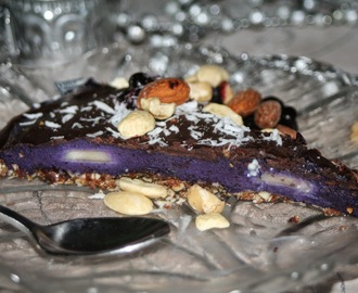 Raw food-tårta med kokos, nötter och blåbär
