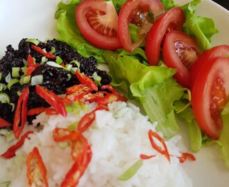 Testa japansk köttfärs till middag