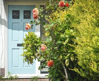 En blå dörr med ljuvliga rosor