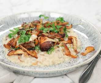 Risotto med svamp och mascarpone