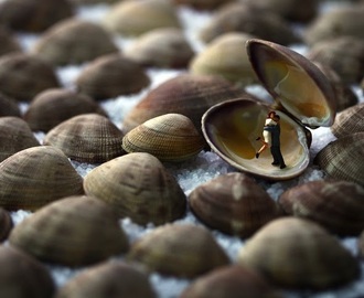 Kärlek till musslor