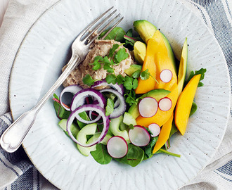 Sallad med tonfiskröra, mango, avokado och koriander