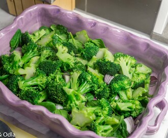 Kycklinggratäng med broccoli