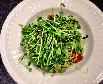 Vermicelli med räkor och pesto