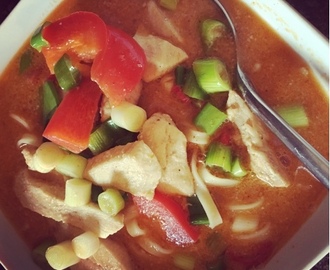 Thai inspirerad soppa