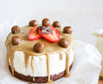Brownie + Cheesecake = SANT