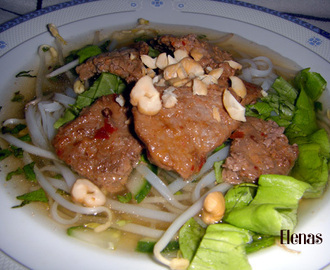 Vietnamesisk köttsoppa med risnudlar