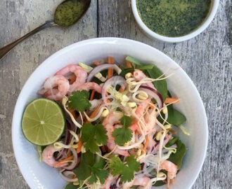 Räk- och nudelsallad med dressing på jalapeno, lime och koriander