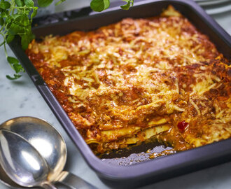 Snabb lasagne