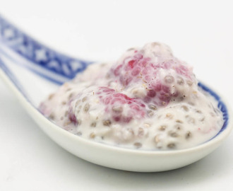 Raspberry Coconut Chia Pudding