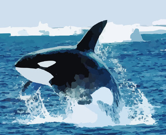 Three important killer whale documentaries