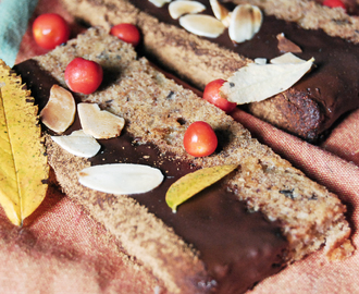 Kryddig höstkaka m ingefära, kanel, roiboos, mörk choklad och äpple