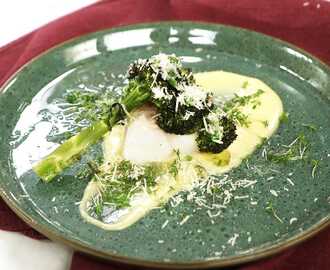 Torskrygg med parmesansås och broccoli