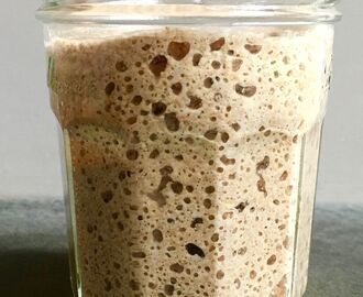 Sam Fromartz' Sourdough Starter