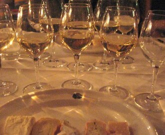 Vinprovning hos Winjas ost-och vinkällare