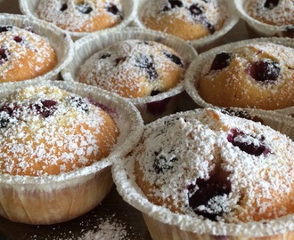 Blåbärsmuffins