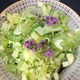 grønnsaker &salater
