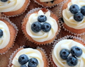 American blueberry cupcakes