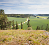 täytekakku rippijuhliin