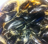 koka musslor