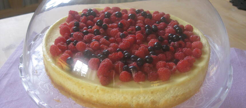 Cheesecake botten utan digestivekex