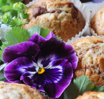 Muffins med chokladbitar