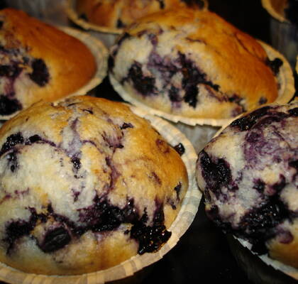 Blueberry muffins