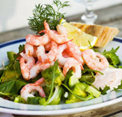 Räksallad med Rhode Island