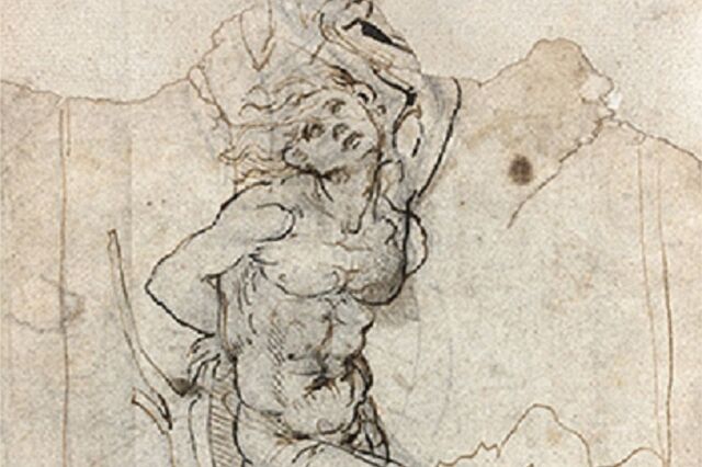 Ekstraordinær opdagelse af Leonardo da Vinci-tegning