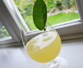 Cocktails til middagen: Salvie Longdrink (samt opskrift på Ginger Ale)