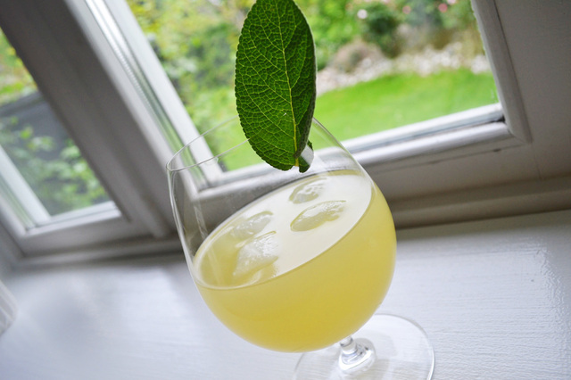 Cocktails til middagen: Salvie Longdrink (samt opskrift på Ginger Ale)