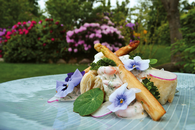 Mer’ blomster-dameblads-mad: “Tarteletter” med rejesalat og grillede hvide asparges.