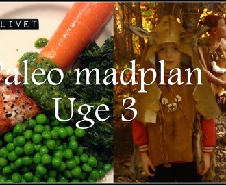 Paleo madplan uge 3