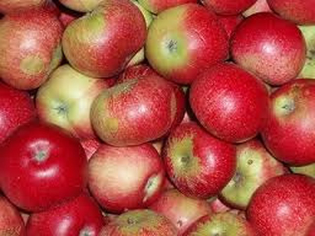 5 GODE GRUNDE TIL AT SPISE ÆBLER