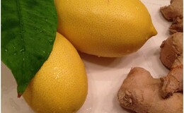 Citron Ingefær