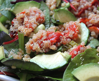 Quinoasalat med langtidsbagte tomater og avocado