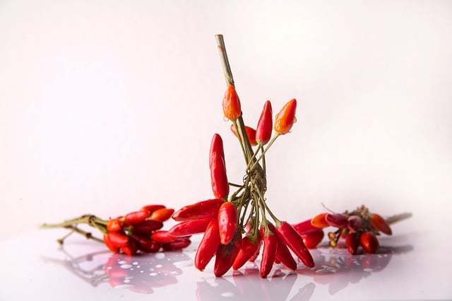 Chili – Værd at vide om den stærke frugt