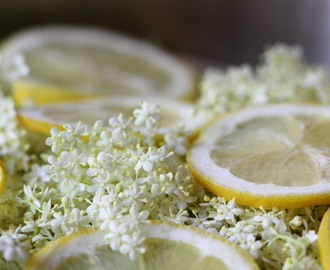 Iskold, læskende hyldeblomstsaft