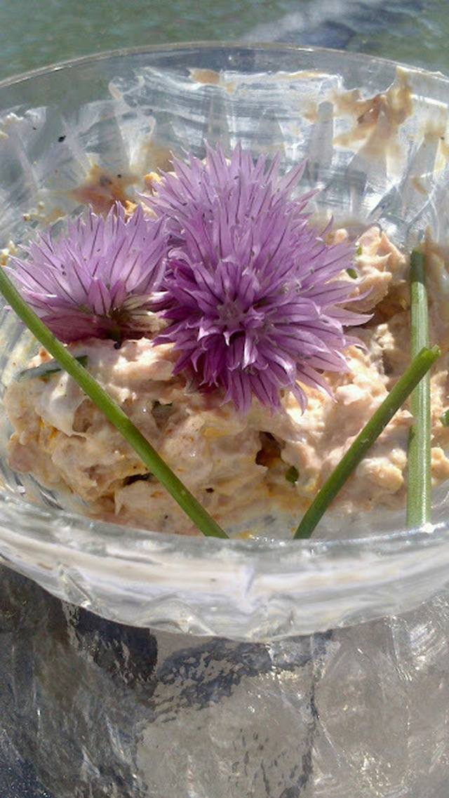 Tunsalat med smag af sommer i stenalderen