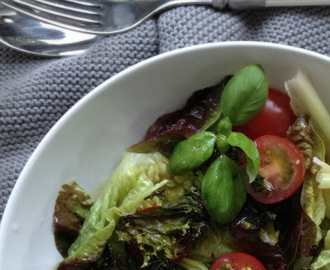 ENKEL SALAT MED GRØNKÅLSCHIPS & HONNING / SENNEPSVINAIGRETTE