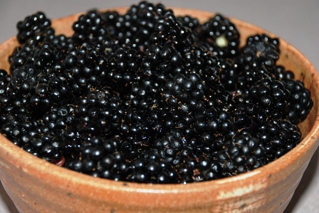 Blackberry jam (Brombær syltetøj)
