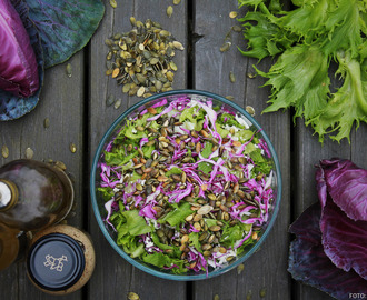 Dejlig sommersalat med rød spidskål og blomkål