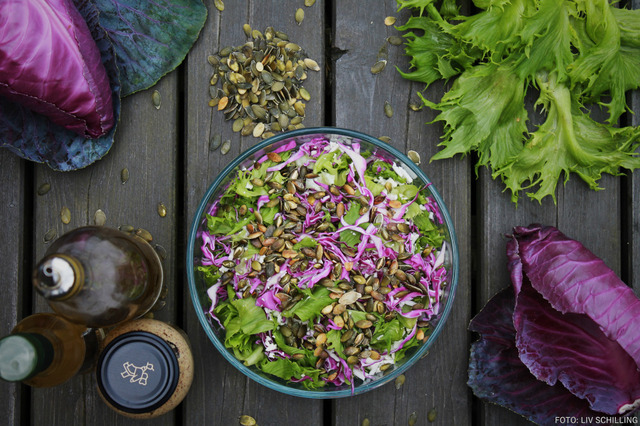 Dejlig sommersalat med rød spidskål og blomkål