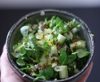 Portionsanrettet salat til hverdagsmaden