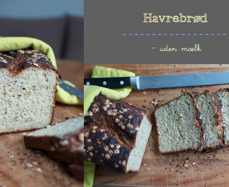 Havrebrød (glutenfri)