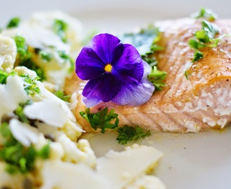 Ovnbagt laks med salat af blomkål, citron, kapers og parmasan samt masser af krydderurter