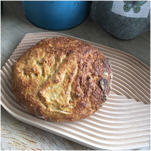 Glutenfri grydebrød med majsmel