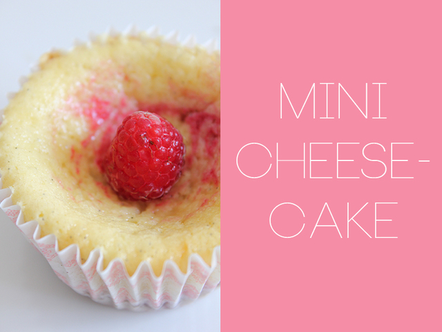 Cheesecake i miniformat